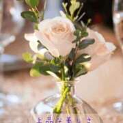 ヒメ日記 2026/01/25 08:49 投稿 長澤みき 池袋㊙エステ～フル勃起～