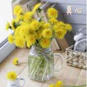 ヒメ日記 2026/01/31 07:31 投稿 長澤みき 池袋㊙エステ～フル勃起～