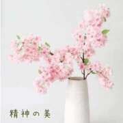 ヒメ日記 2026/02/06 08:41 投稿 長澤みき 池袋㊙エステ～フル勃起～