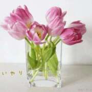 ヒメ日記 2026/02/08 09:01 投稿 長澤みき 池袋㊙エステ～フル勃起～