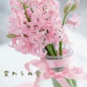 ヒメ日記 2026/02/10 09:01 投稿 長澤みき 池袋㊙エステ～フル勃起～