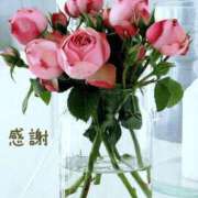 ヒメ日記 2026/02/11 09:51 投稿 長澤みき 池袋㊙エステ～フル勃起～