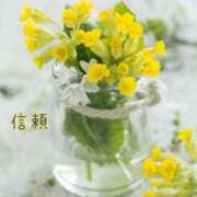 ヒメ日記 2026/02/18 07:31 投稿 長澤みき 池袋㊙エステ～フル勃起～