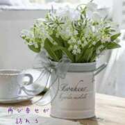 ヒメ日記 2026/02/23 08:26 投稿 長澤みき 池袋㊙エステ～フル勃起～