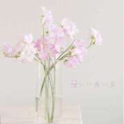 ヒメ日記 2026/02/26 09:43 投稿 長澤みき 池袋㊙エステ～フル勃起～