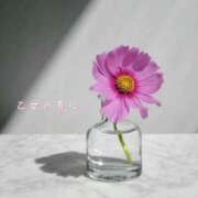 ヒメ日記 2026/03/06 08:51 投稿 長澤みき 池袋㊙エステ～フル勃起～