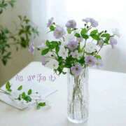 ヒメ日記 2026/03/15 07:21 投稿 長澤みき 池袋㊙エステ～フル勃起～