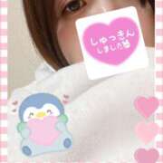 ヒメ日記 2025/02/28 12:17 投稿 紀美香-きみか【FG系列】 ほんとうの人妻 厚木店【FG系列】