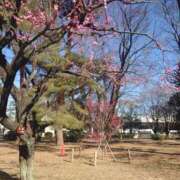 ヒメ日記 2025/03/02 19:03 投稿 みちる モアグループ大宮人妻花壇