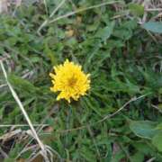 ヒメ日記 2025/03/23 12:42 投稿 みちる モアグループ大宮人妻花壇