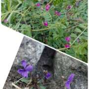 ヒメ日記 2025/03/28 08:03 投稿 みちる モアグループ大宮人妻花壇