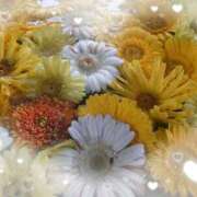 ヒメ日記 2025/04/23 16:18 投稿 みちる モアグループ大宮人妻花壇