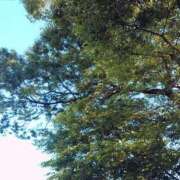 ヒメ日記 2025/05/03 07:48 投稿 みちる モアグループ大宮人妻花壇