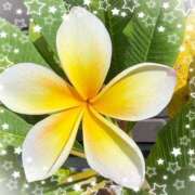 ヒメ日記 2025/05/04 15:48 投稿 みちる モアグループ大宮人妻花壇