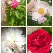 ヒメ日記 2025/05/07 18:12 投稿 みちる モアグループ大宮人妻花壇