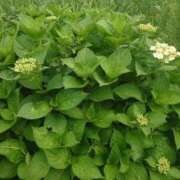 ヒメ日記 2025/05/23 20:03 投稿 みちる モアグループ大宮人妻花壇