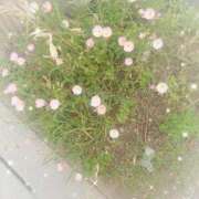 ヒメ日記 2025/05/24 09:27 投稿 みちる モアグループ大宮人妻花壇