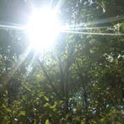 ヒメ日記 2025/05/28 17:57 投稿 みちる モアグループ大宮人妻花壇