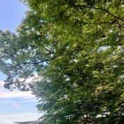 ヒメ日記 2025/06/04 08:12 投稿 みちる モアグループ大宮人妻花壇