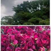 ヒメ日記 2025/06/13 10:33 投稿 みちる モアグループ大宮人妻花壇