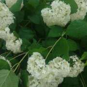 ヒメ日記 2025/06/15 10:18 投稿 みちる モアグループ大宮人妻花壇