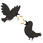 ヒメ日記 2025/06/20 08:33 投稿 みちる モアグループ大宮人妻花壇