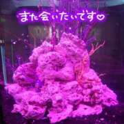 ヒメ日記 2025/07/04 14:18 投稿 みちる モアグループ大宮人妻花壇