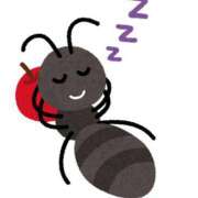 ヒメ日記 2025/07/16 13:12 投稿 みちる モアグループ大宮人妻花壇