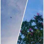 ヒメ日記 2025/07/23 14:48 投稿 みちる モアグループ大宮人妻花壇