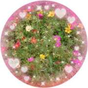 ヒメ日記 2025/08/11 14:27 投稿 みちる モアグループ大宮人妻花壇