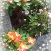 ヒメ日記 2025/08/26 20:54 投稿 みちる モアグループ大宮人妻花壇