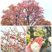 ヒメ日記 2026/03/22 17:48 投稿 みちる モアグループ大宮人妻花壇