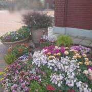 ヒメ日記 2026/03/30 03:03 投稿 みちる モアグループ大宮人妻花壇