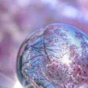 ヒメ日記 2025/03/17 12:27 投稿 まの 池袋人妻城