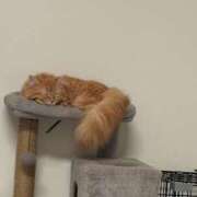 ヒメ日記 2025/08/15 12:04 投稿 さくら Polaris（ポラリス）