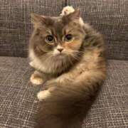 さくら かおない Polaris（ポラリス）