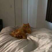 さくら こんしゅう🥲 Polaris（ポラリス）