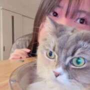 さくら あしいたい！ Polaris（ポラリス）