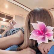 ヒメ日記 2025/08/12 19:18 投稿 みこと プラザ２