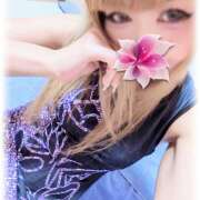 ヒメ日記 2025/08/21 19:24 投稿 みこと プラザ２