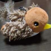 ヒメ日記 2026/01/09 18:55 投稿 みこと プラザ２