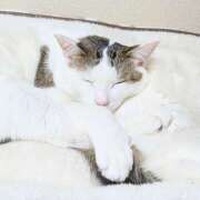 ヒメ日記 2026/01/29 21:42 投稿 みこと プラザ２