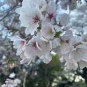 ヒメ日記 2026/04/05 22:31 投稿 れいな ハンドキャンパス池袋