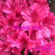 ヒメ日記 2025/10/09 12:47 投稿 ともみ 諭吉で2度ヌキ！