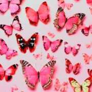 ヒメ日記 2025/12/29 13:47 投稿 ともみ 諭吉で2度ヌキ！