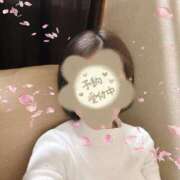 ヒメ日記 2025/03/29 17:57 投稿 れい Number Five 品川（シンデレラグループ）