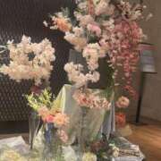 ヒメ日記 2025/05/03 16:55 投稿 れい Number Five 品川（シンデレラグループ）