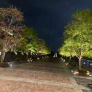 ヒメ日記 2025/09/16 11:09 投稿 れい Number Five 品川（シンデレラグループ）