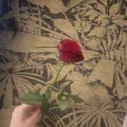 ヒメ日記 2025/10/11 23:26 投稿 れい Number Five 品川（シンデレラグループ）