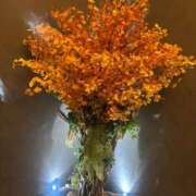 ヒメ日記 2025/11/08 03:24 投稿 れい Number Five 品川（シンデレラグループ）